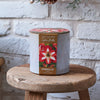 Amaryllis Bulb Kit