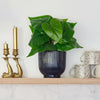 Artificial Anthurium