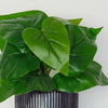 Artificial Anthurium