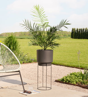 Artificial Areca Palm (UV protected)