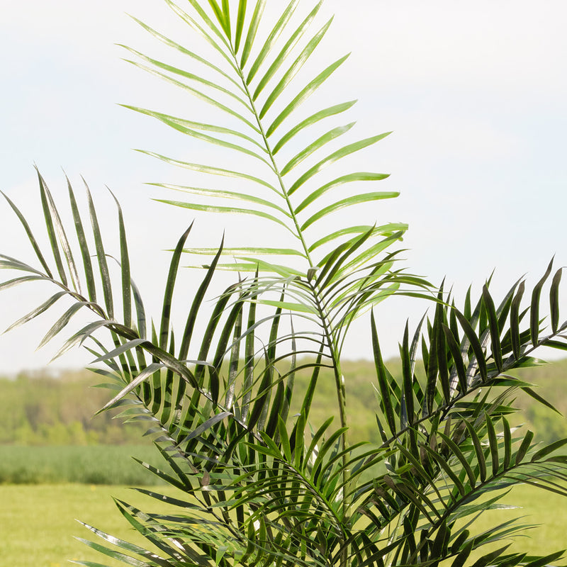Artificial Areca Palm (UV protected)