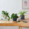 Propagation Bundle