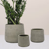 Light Grey Concrete Patt Pot