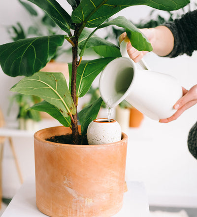Pepin Hydrating Olla White Speckle