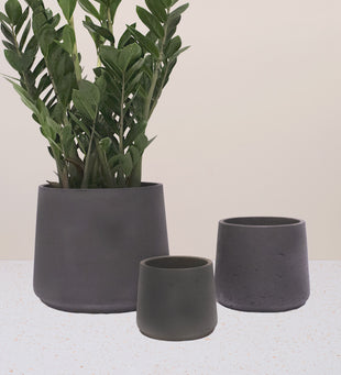 Dark Grey Concrete Patt Pot