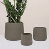 Mocha Concrete Patt Pot