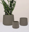 Mocha Concrete Patt Pot