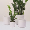 Cool Grey Capri Pot