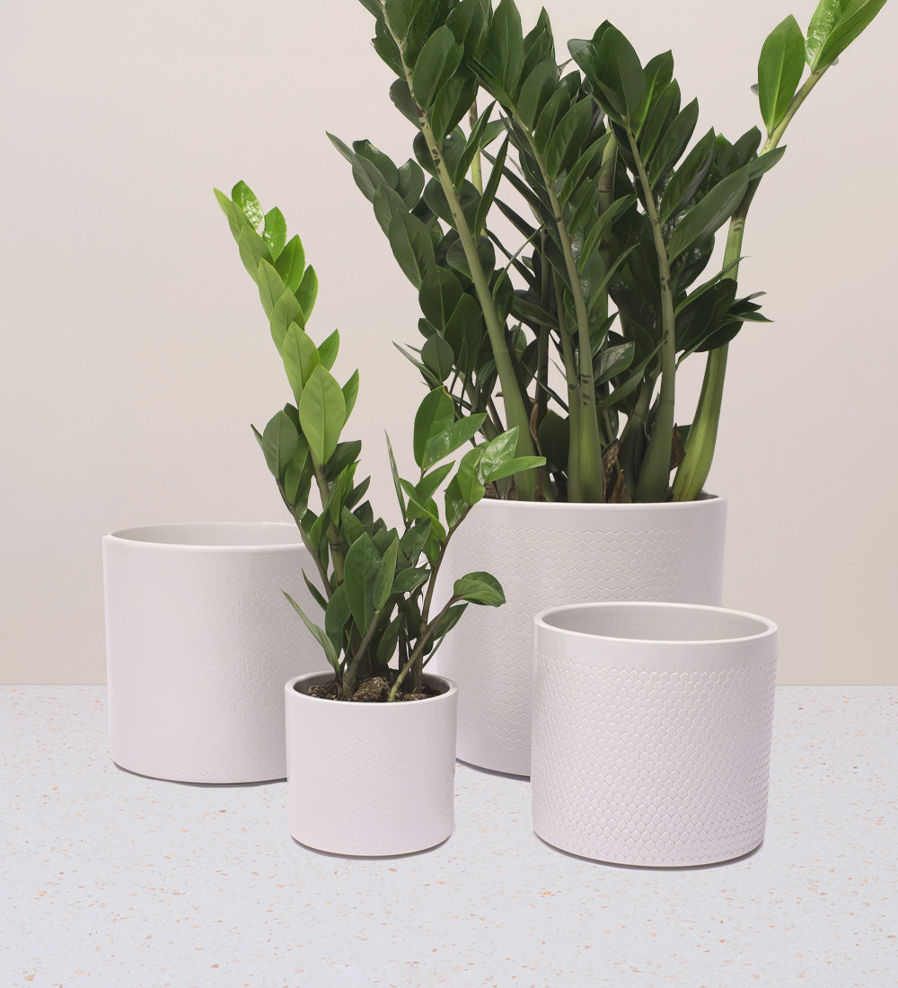 Cool Grey Capri Pot