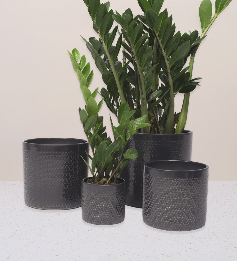 Granite Capri Pot