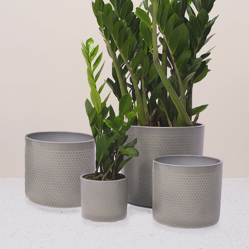 Light Green Capri Pot