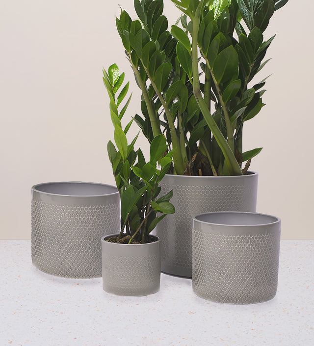 Light Green Capri Pot