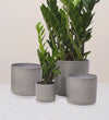 Light Green Capri Pot