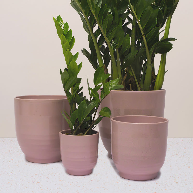 Pink Ares Pot