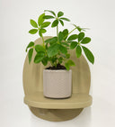 Taupe Pot