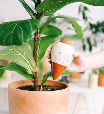 Pepin Hydrating Olla White Speckle