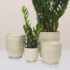 Beige Ares Pot
