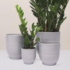 Grey Ares Pot