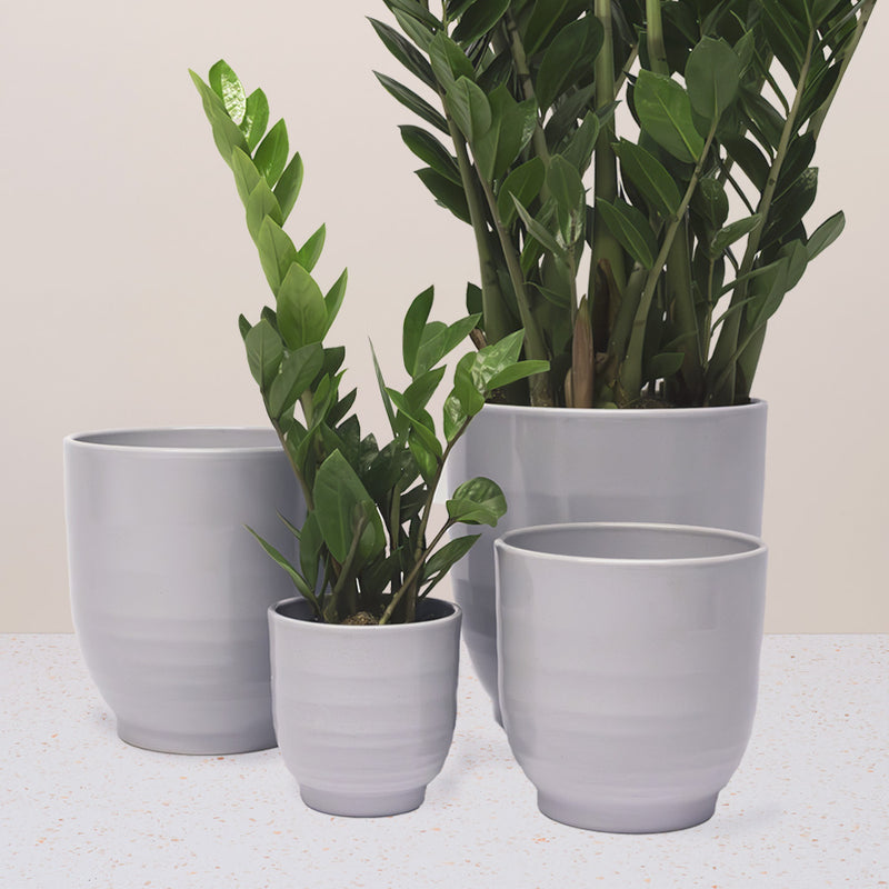 Grey Ares Pot