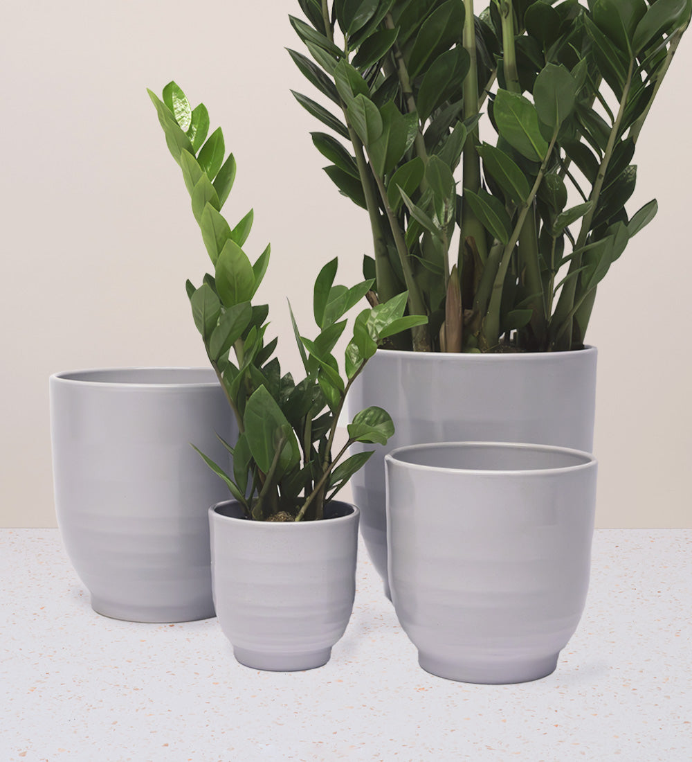 Grey Ares Pot