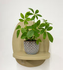 Blue Pot