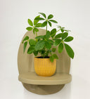 Mustard Pot