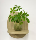 Green Pot