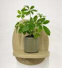 Khaki Pot