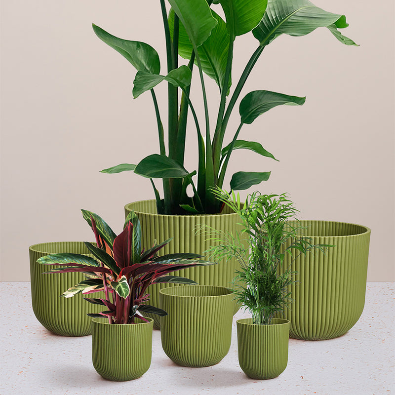 Green Elho Vibes Pot (16cm)
