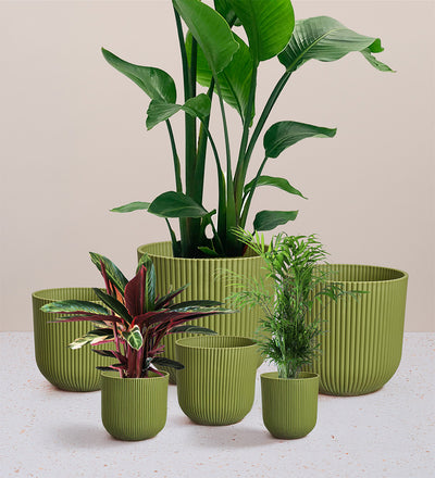 Green Elho Vibes Pot (18cm)