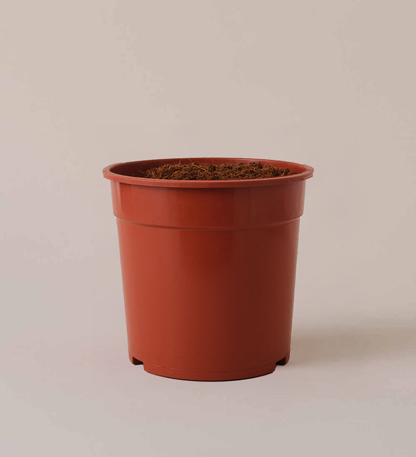 Nursery Pot