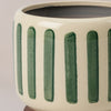 Green Stripe Pot
