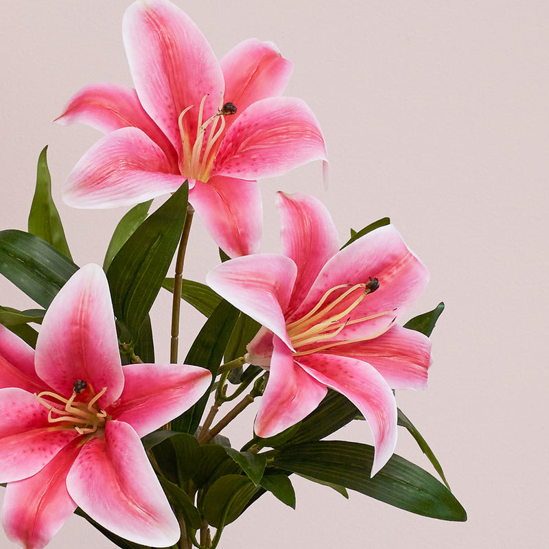 Artificial Lily
