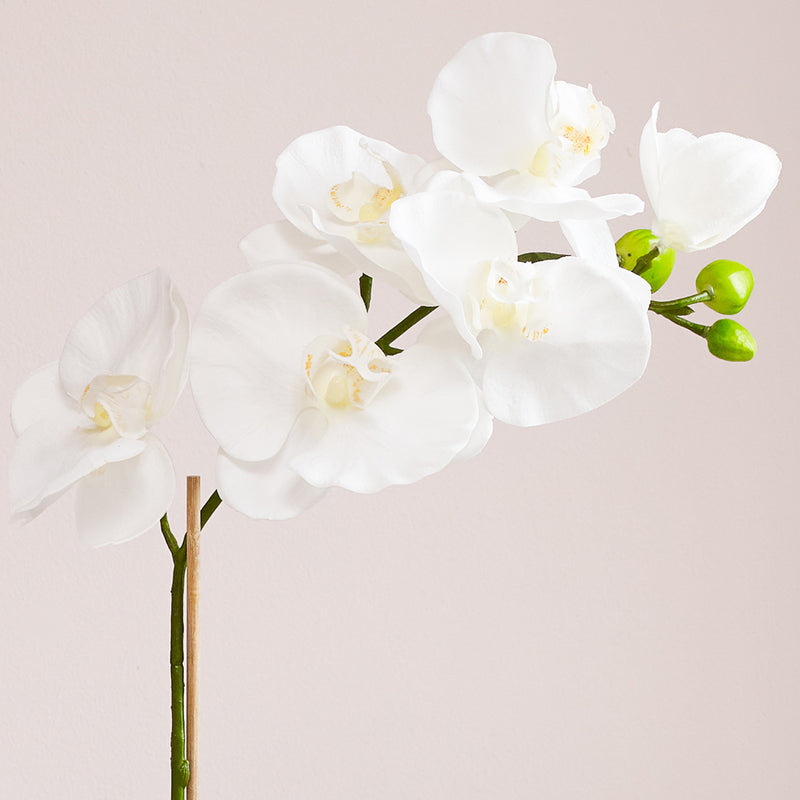 Artificial Orchid