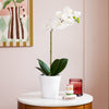 Artificial Orchid