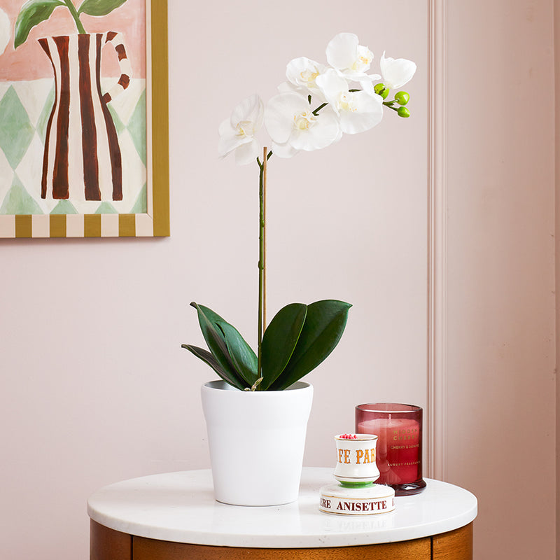 Artificial Orchid