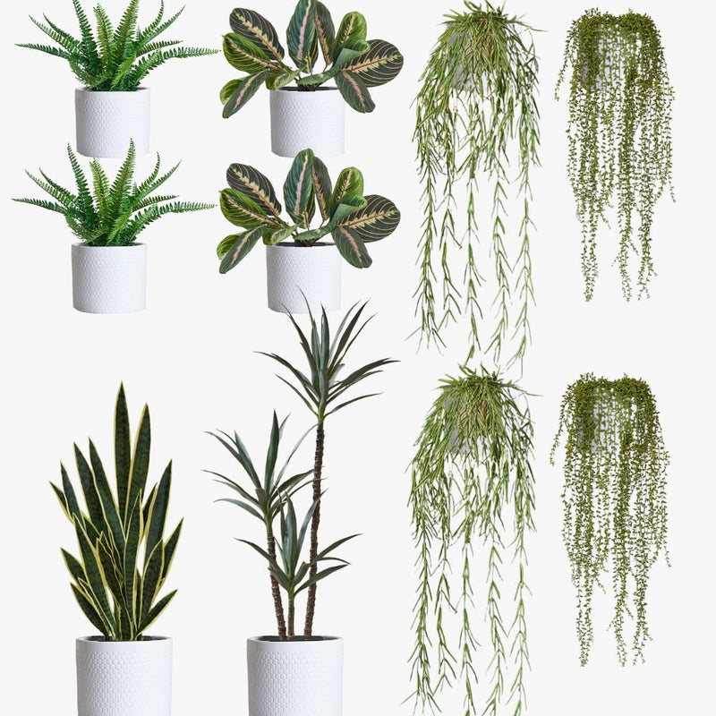 Artificial Cool Grey XL Bundle