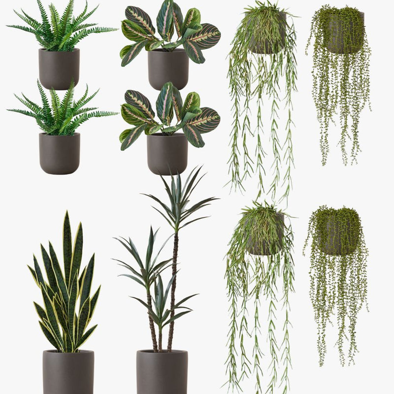 Artificial Graphite Earthenware XL Bundle