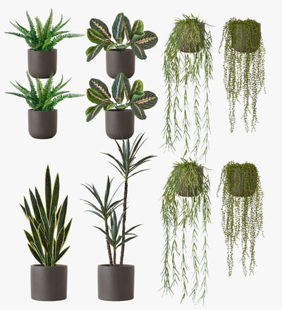 Artificial Graphite Earthenware XL Bundle