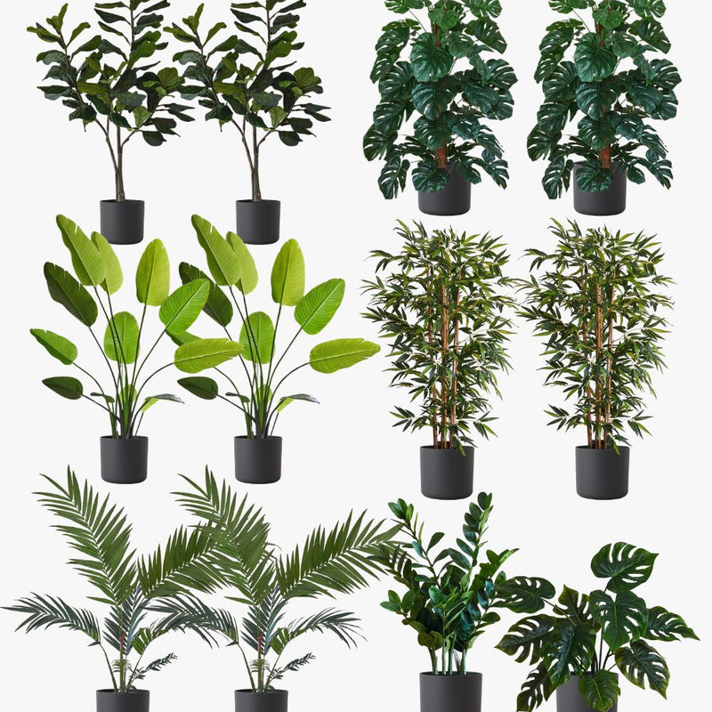 Artificial Graphite XL Bundle