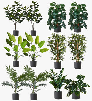 Artificial Graphite XL Bundle