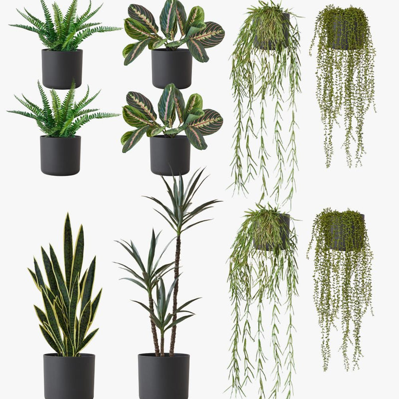 Artificial Graphite XL Bundle