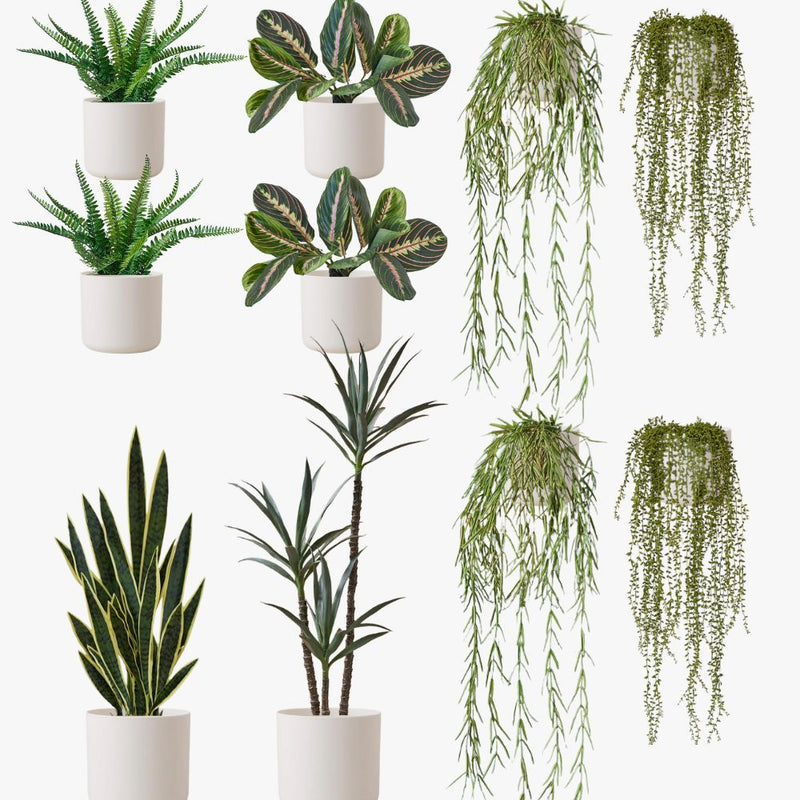 Artificial White XL Bundle