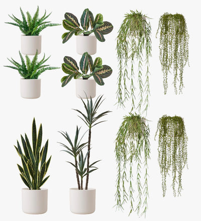 Artificial White XL Bundle