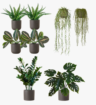 Artificial Graphite Earthenware Desktop Bundle