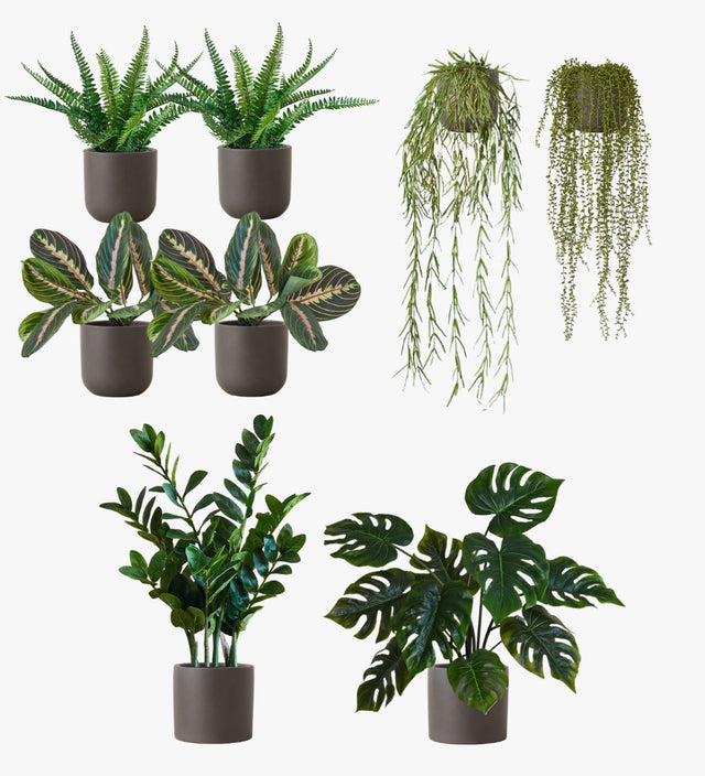 Artificial Graphite Earthenware Desktop Bundle