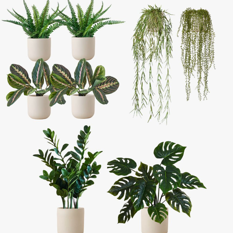 Artificial Oyster Earthenware Desktop Bundle