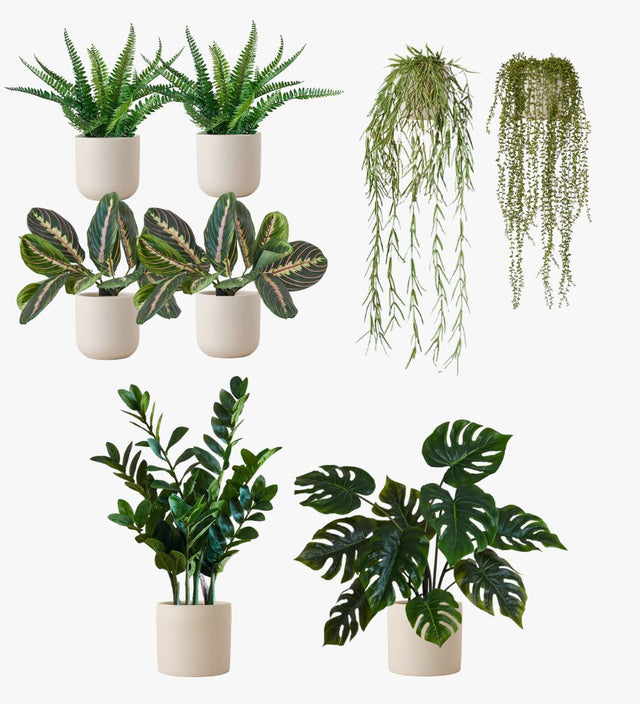 Artificial Oyster Earthenware Desktop Bundle