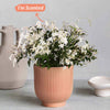 Jasmine & Ceramic Pot