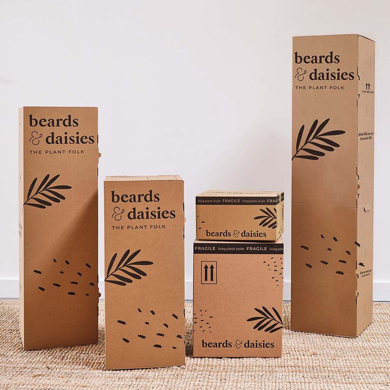 Pepin Plant Care Routine Gift Set